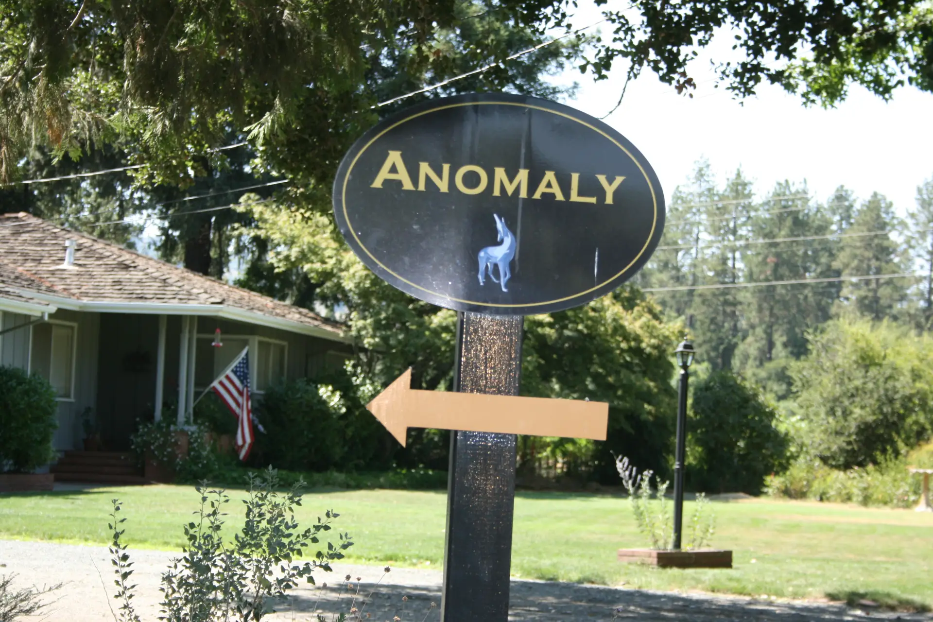 Anomaly Vineyard