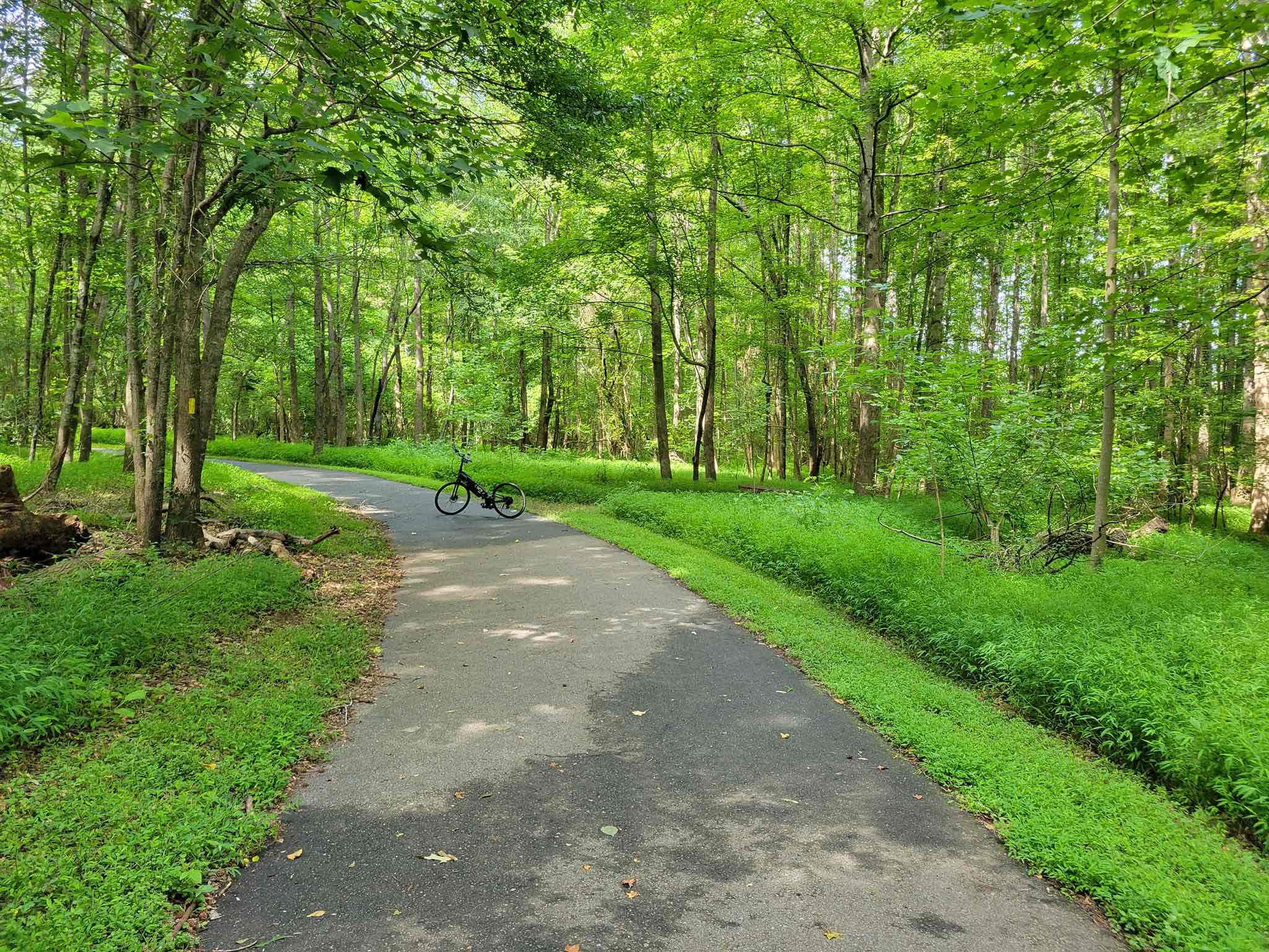 Road the Conestee Nature Preserve on my RSUB