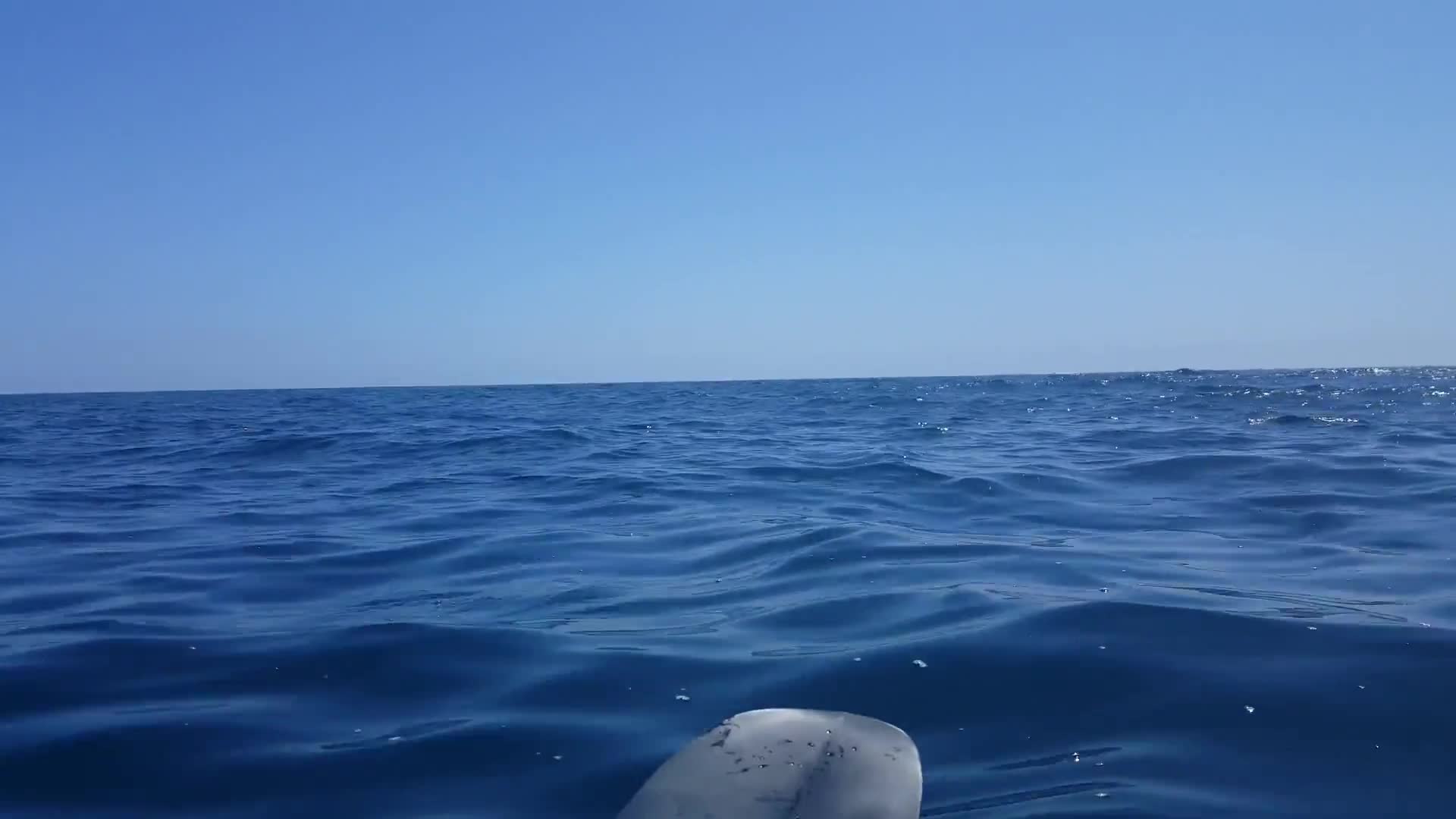 Kayaking the open Pacific