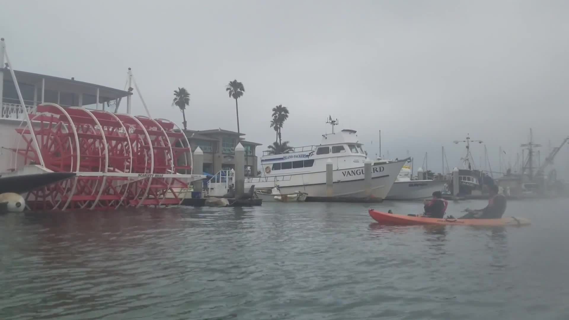 Oxnard Harbor 4th of July weekend