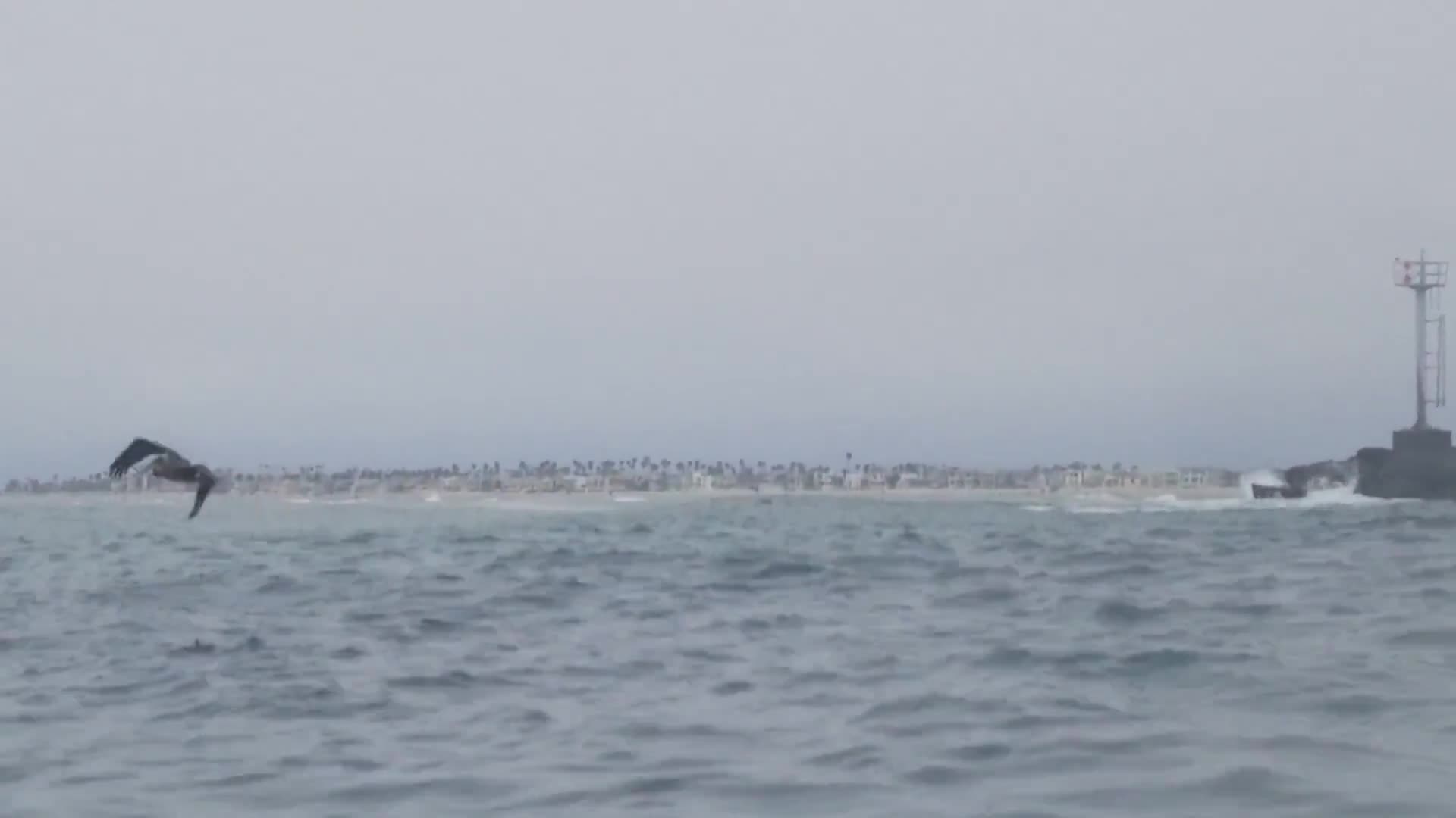 Oxnard Harbor 4th of July weekend